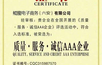 1x证书电子商务专业