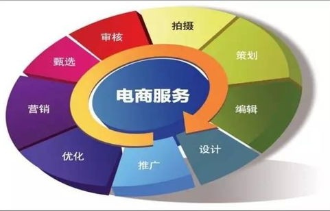 电子商务专业要学化学吗