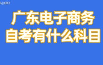 自学电子商务专业怎么样