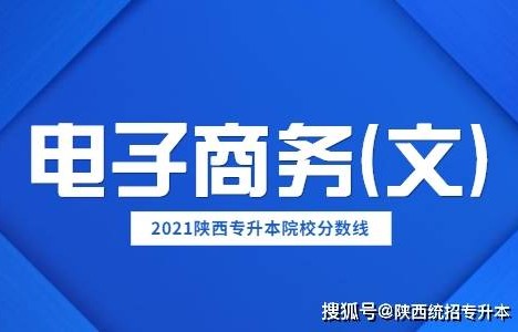 电子商务属那个专业大类