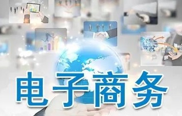 电子商务师 专业技能