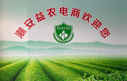 潮州专业电子商务批发价
