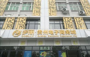 贵阳电子商务专业有哪些