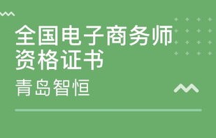 电子商务师包括什么专业