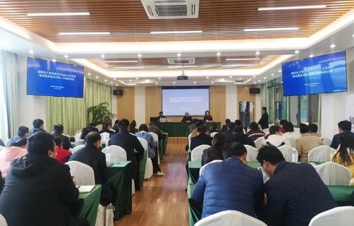 电子商务专业进国网干啥