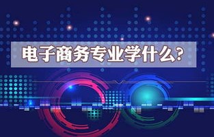 电子商务经济学专业前景
