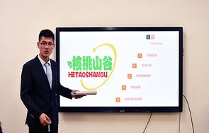 山东电子商务大类包含什么专业