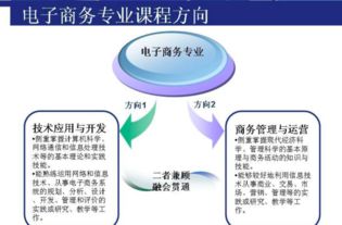 春考电子商务考哪些专业