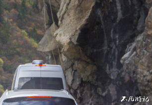 阿坝旅游包车意外事件，当地政府积极应对