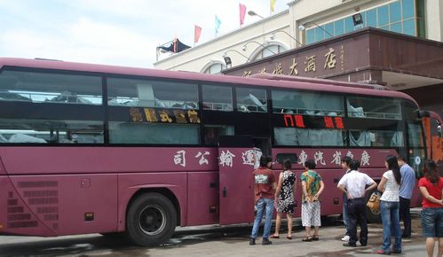 林东汽车站长途商务车电话（林东汽车站长途商务车电话是多少）